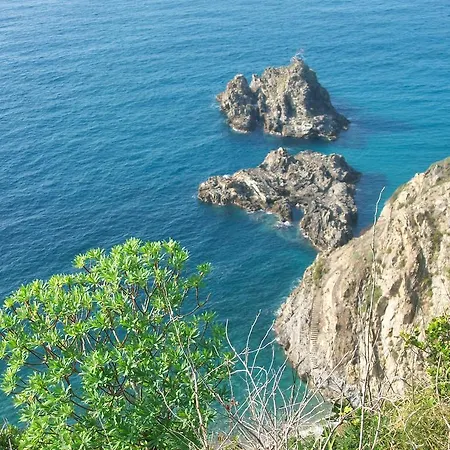 Centro Storico 900 Palmi