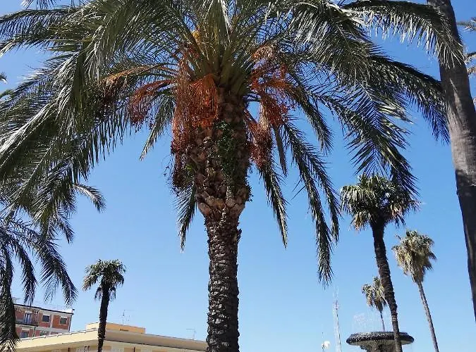 Appartement Centro Storico 900 Palmi